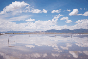 Inversiones chinas en Chile: BYD y Tsingshan siguen en pie