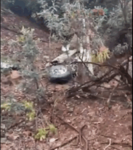 Accidente Aeronáutico Curacaví: Investigación en Curso