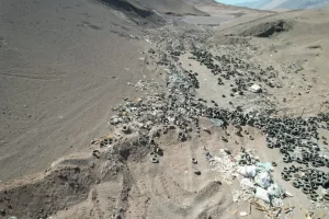 Daño ambiental en Alto Hospicio: Decisión del Tribunal